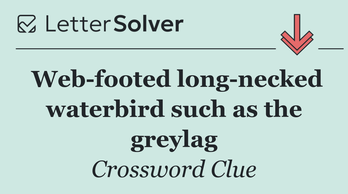 Web footed long necked waterbird such as the greylag