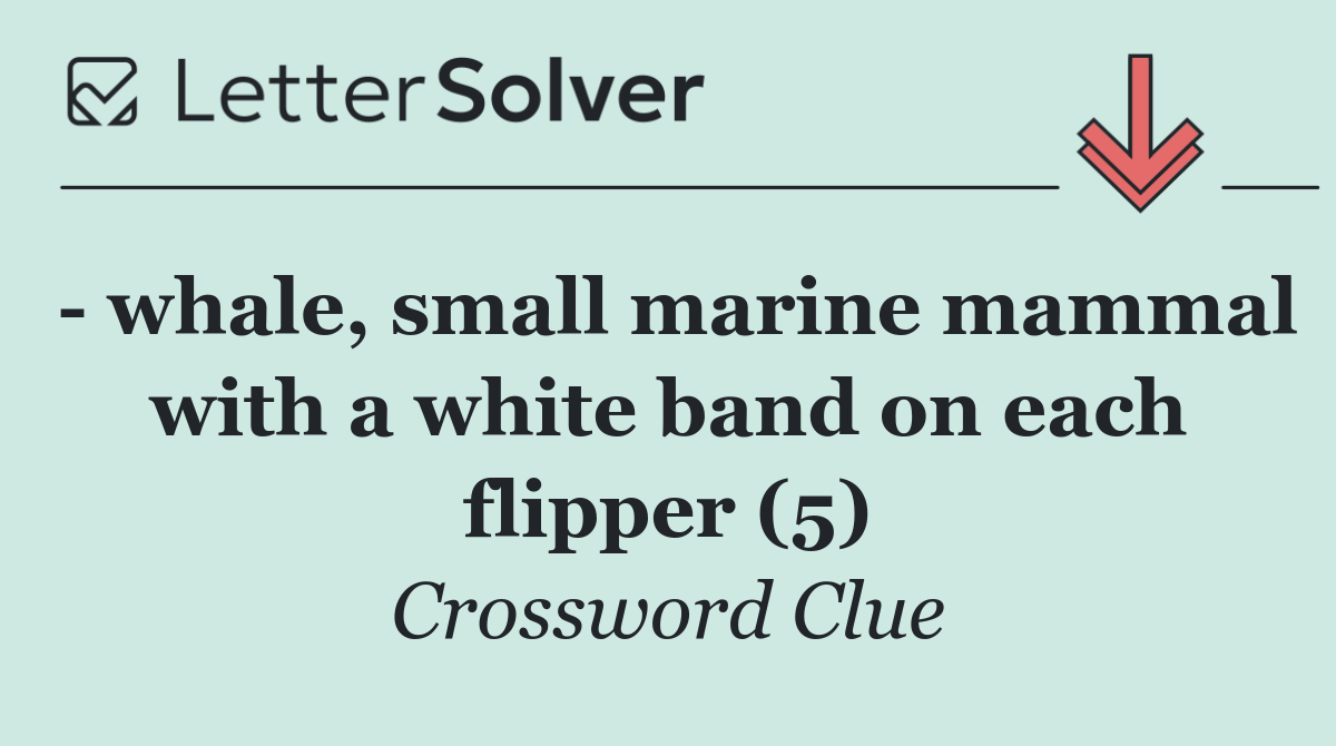  whale, small marine mammal with a white band on each flipper (5)