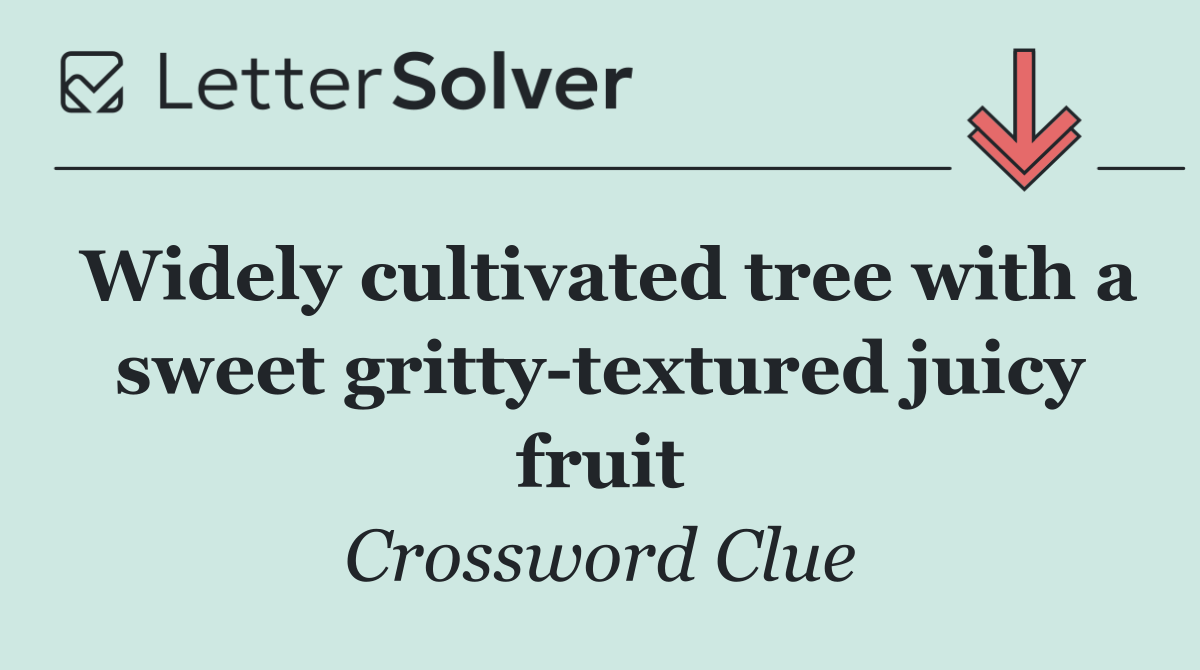 Widely cultivated tree with a sweet gritty textured juicy fruit