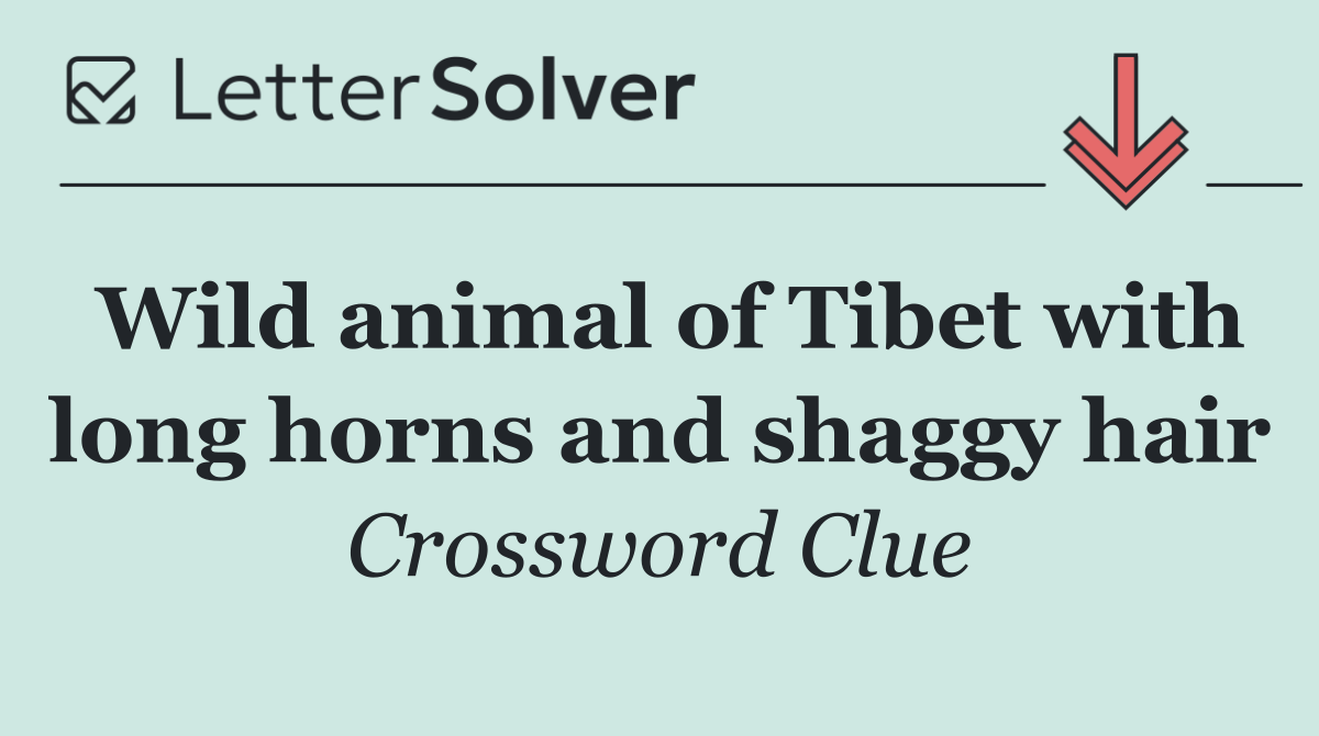 Wild animal of Tibet with long horns and shaggy hair