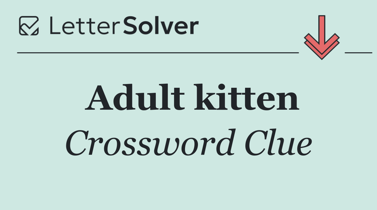 Adult kitten