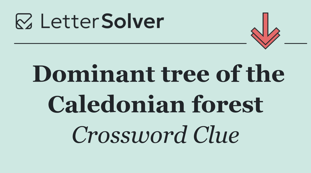 Dominant tree of the Caledonian forest