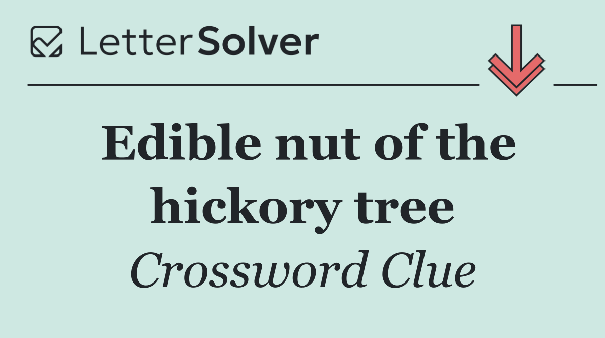 Edible nut of the hickory tree