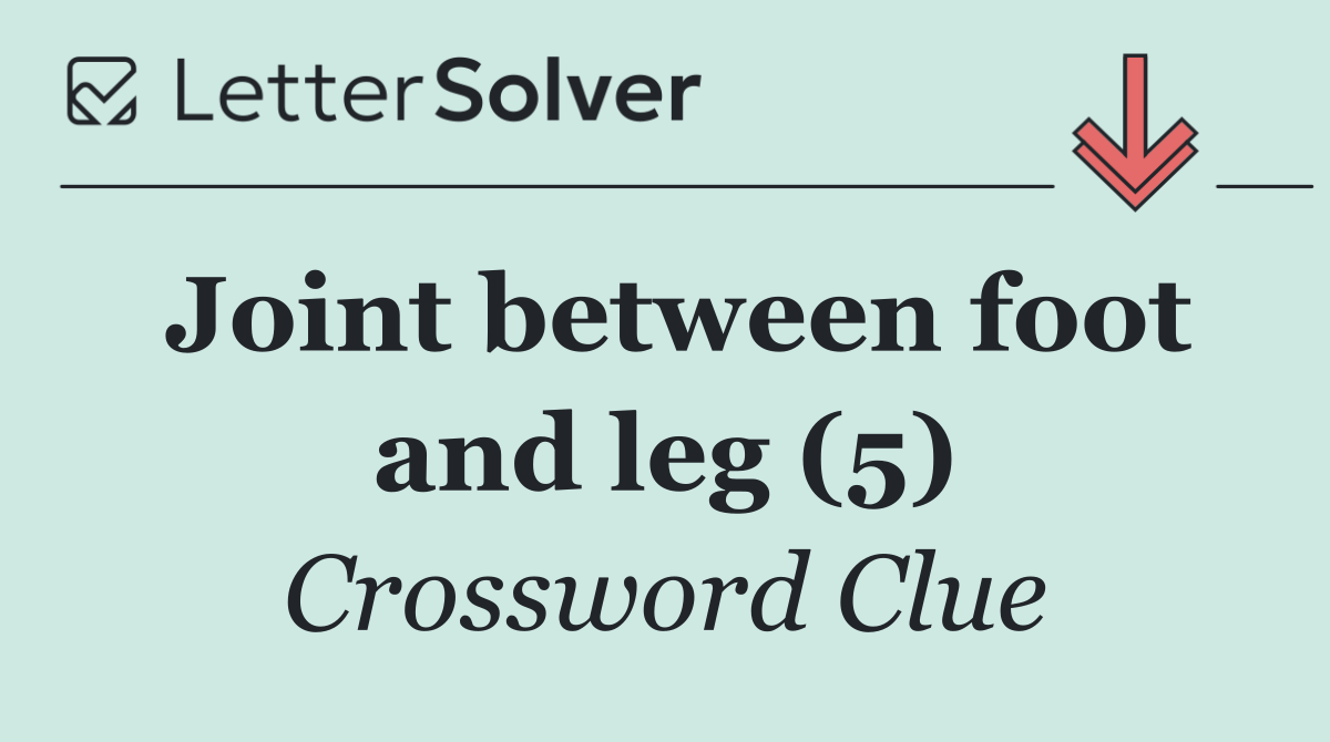 Joint between foot and leg (5)