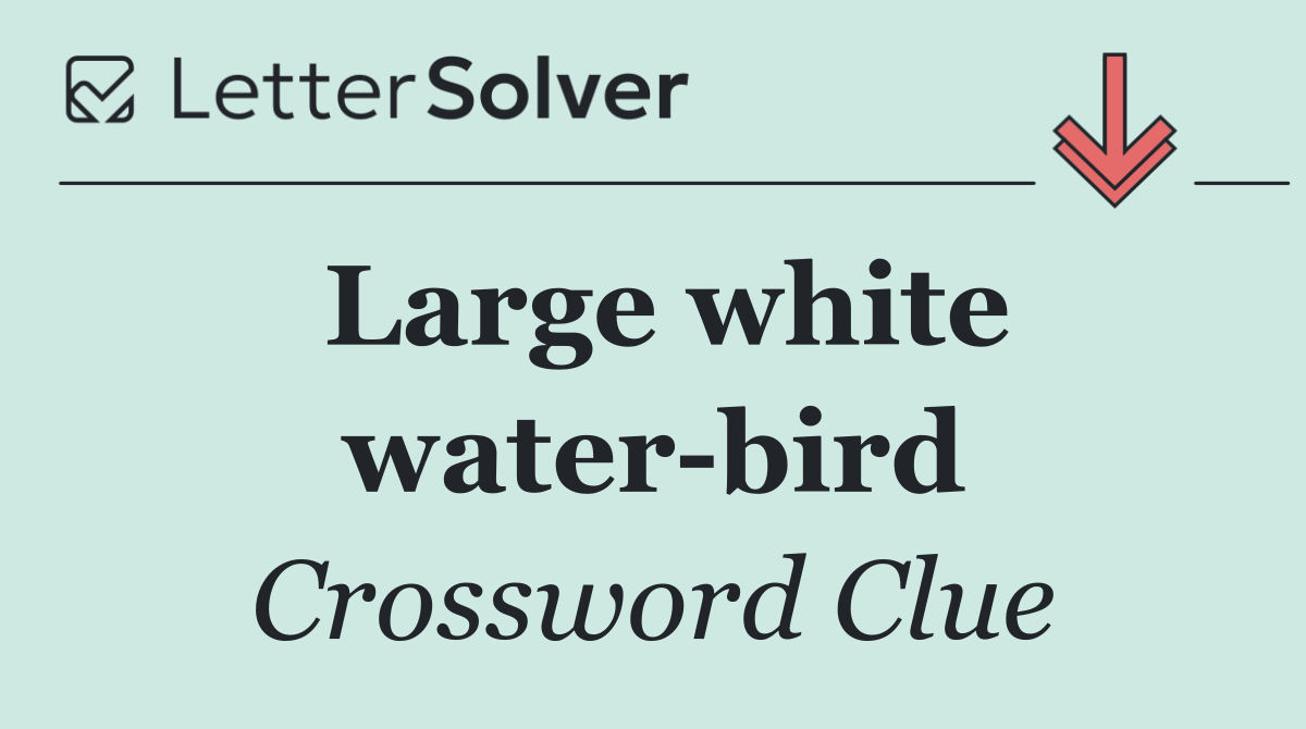 Large white water bird