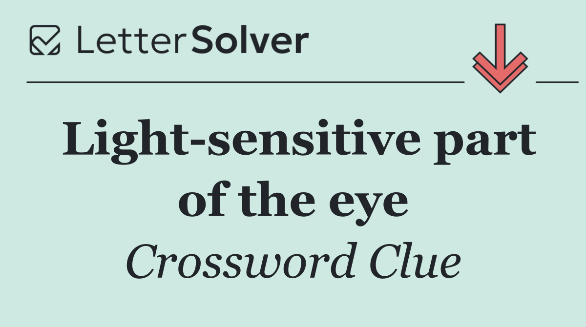 Light sensitive part of the eye
