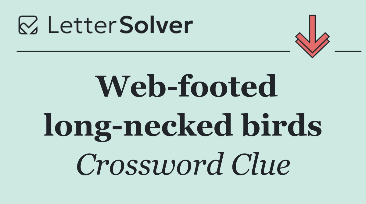 Web footed long necked birds