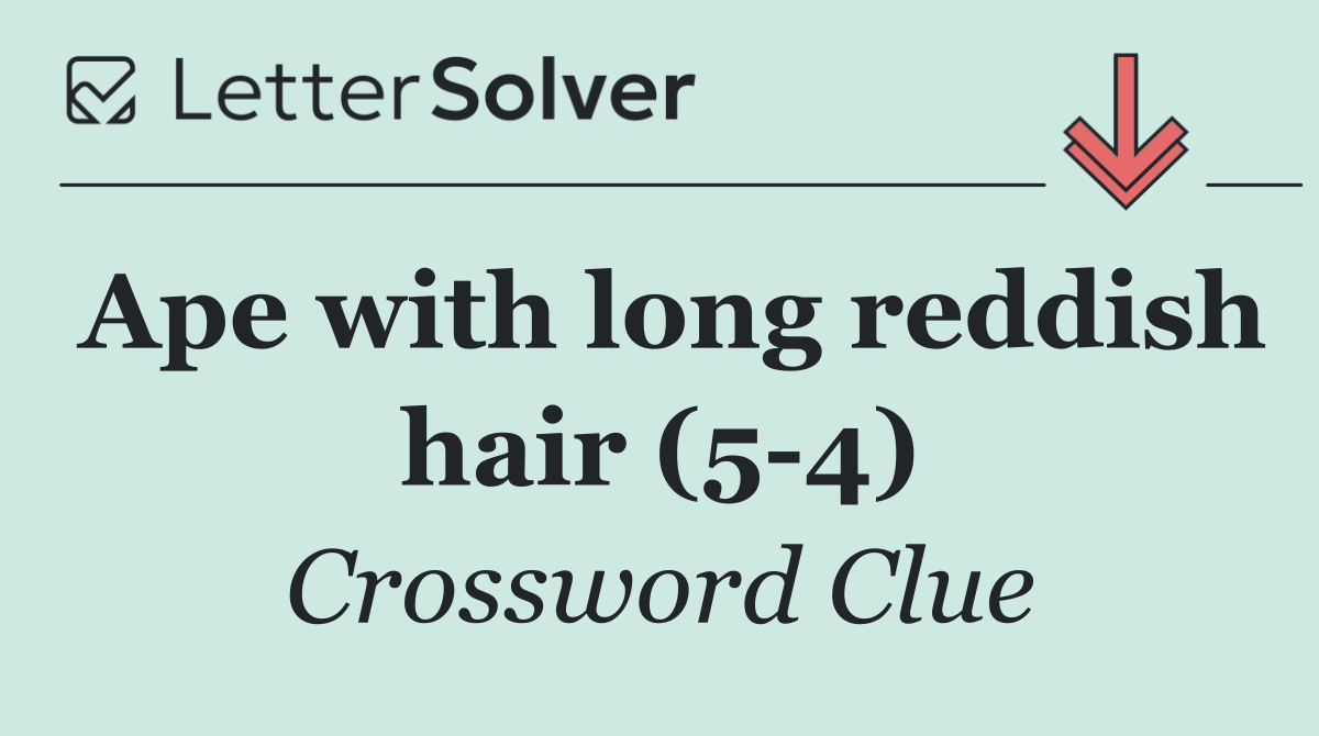 Ape with long reddish hair (5 4)