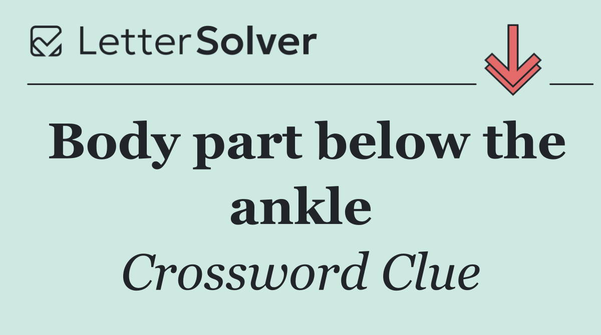 Body part below the ankle