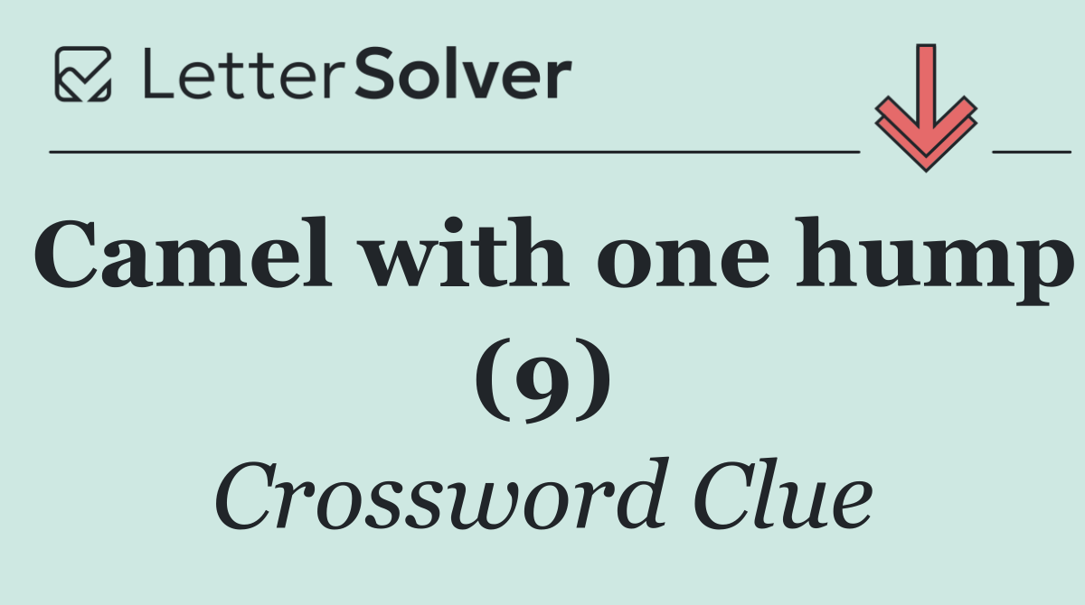 Camel with one hump (9)