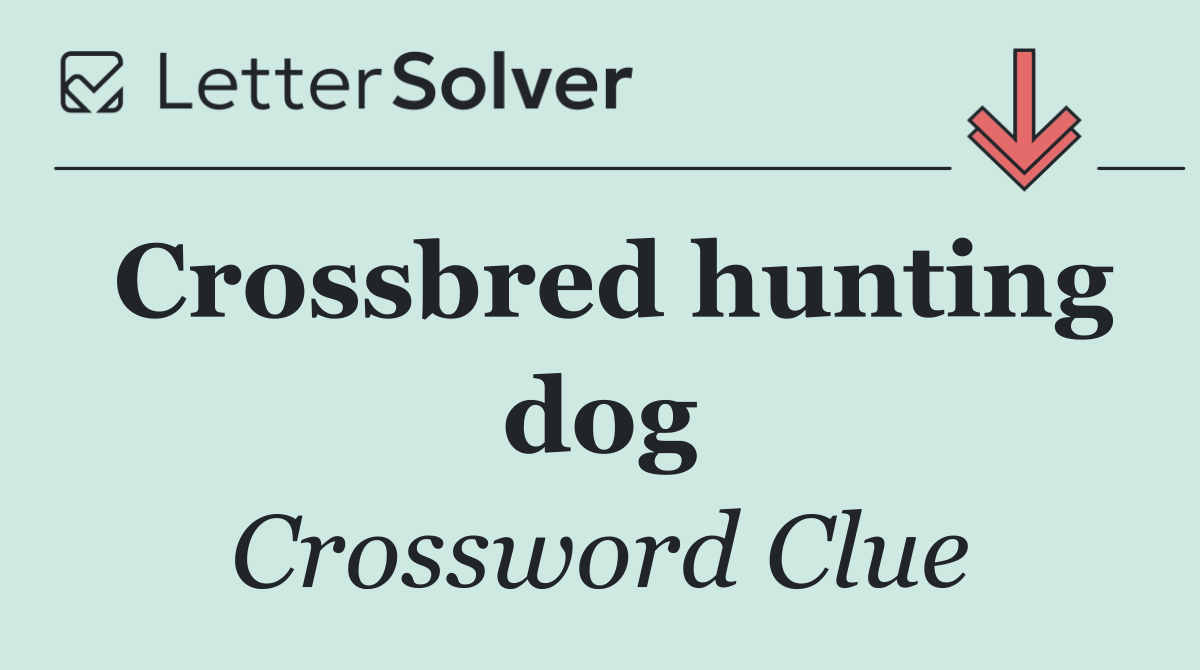 Crossbred hunting dog