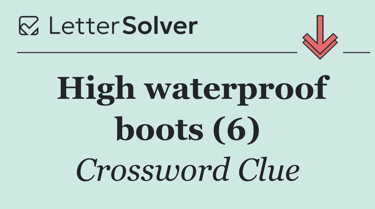 High waterproof boots (6)