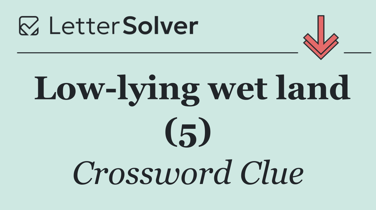 Low lying wet land (5)