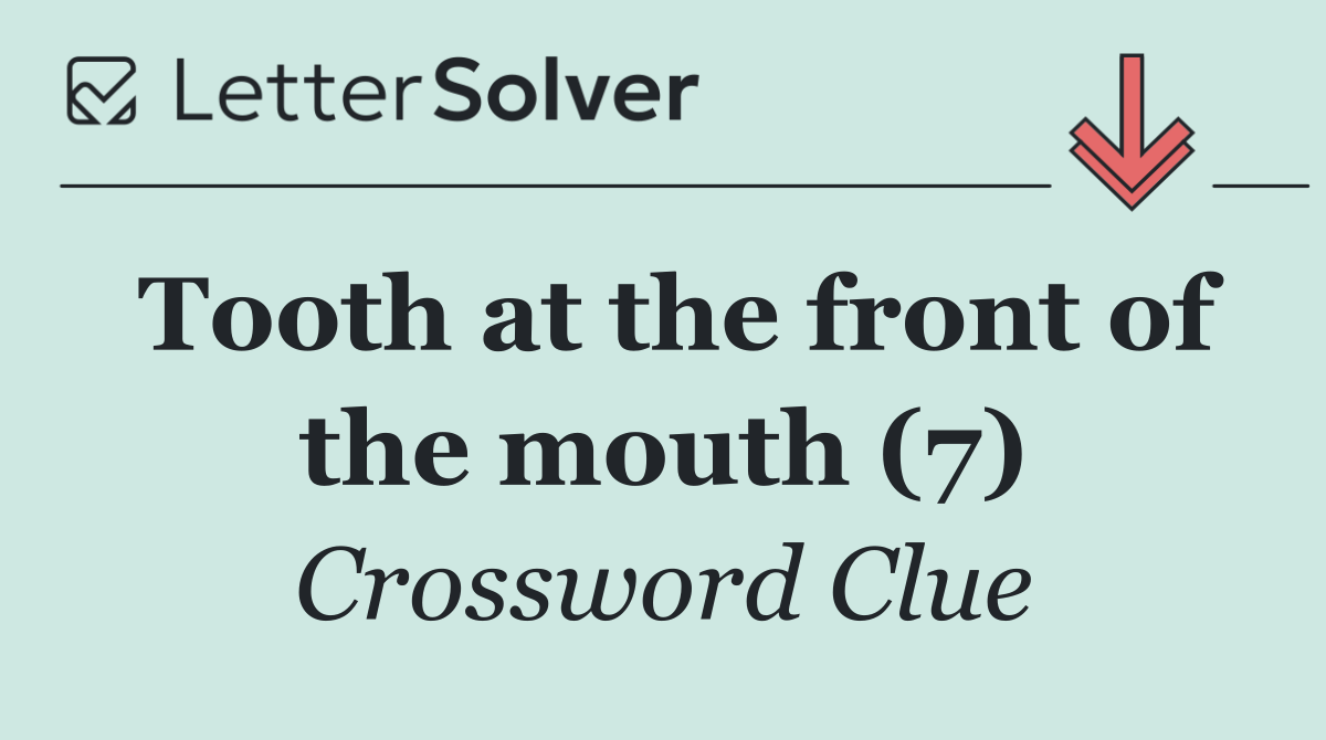 Tooth at the front of the mouth (7)