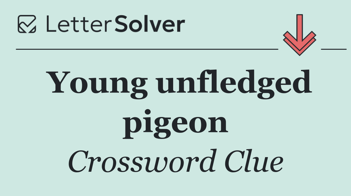 Young unfledged pigeon