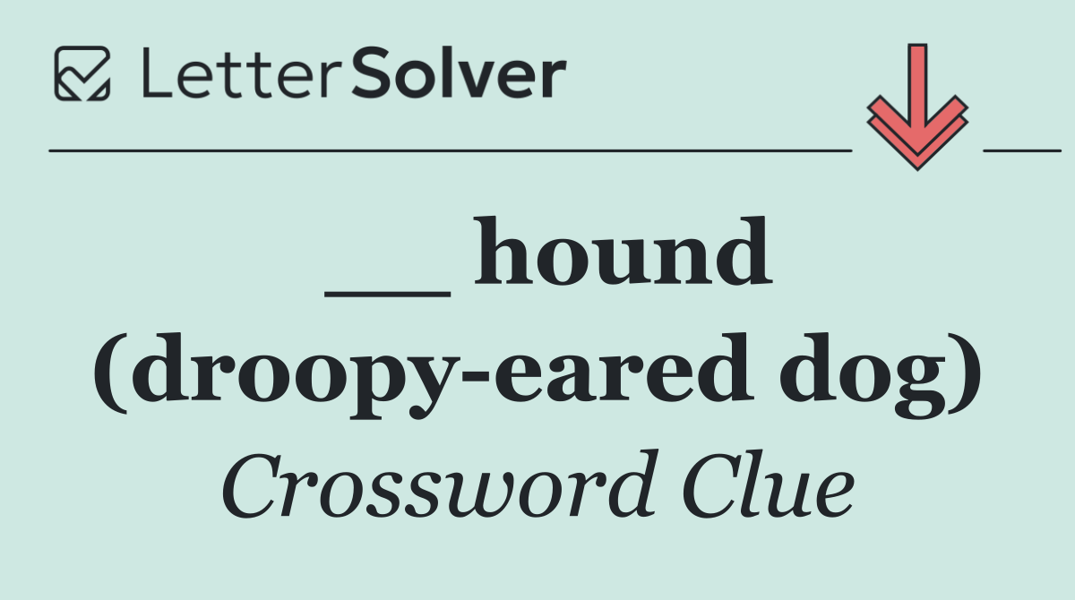 __ hound (droopy eared dog)