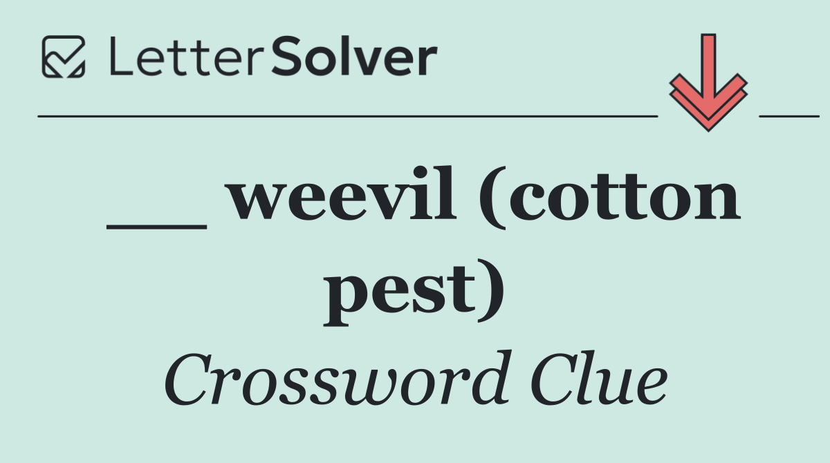 __ weevil (cotton pest)