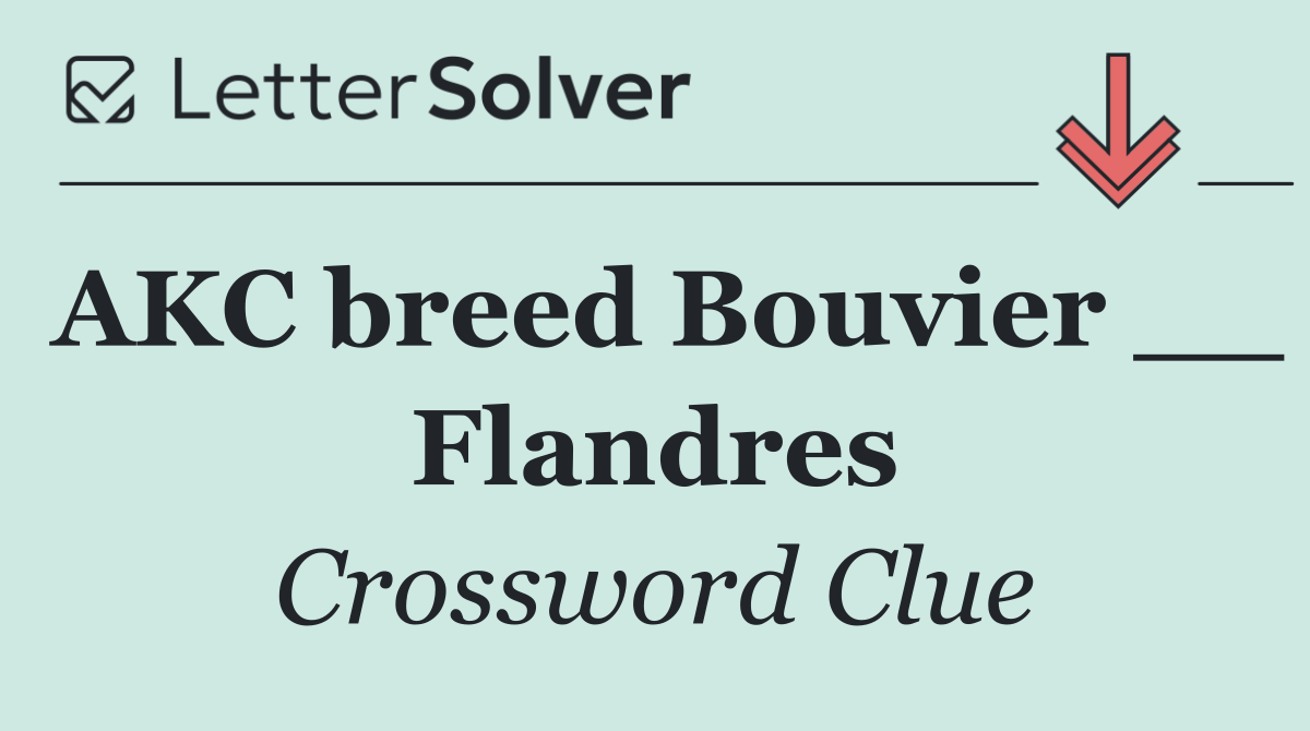AKC breed Bouvier __ Flandres