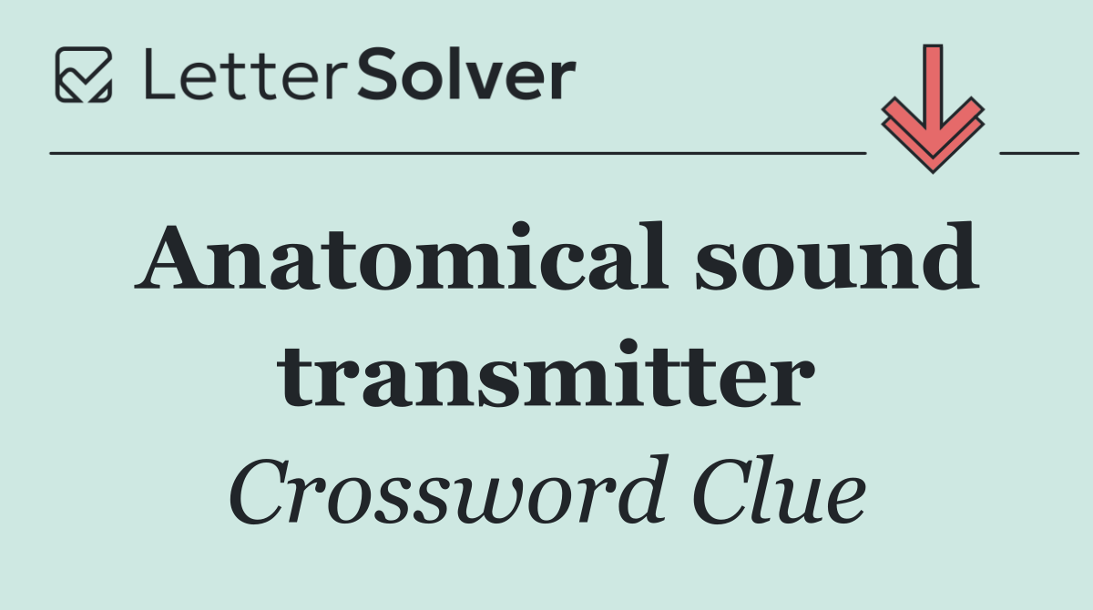 Anatomical sound transmitter