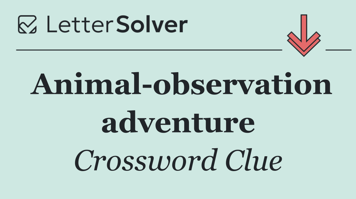Animal observation adventure