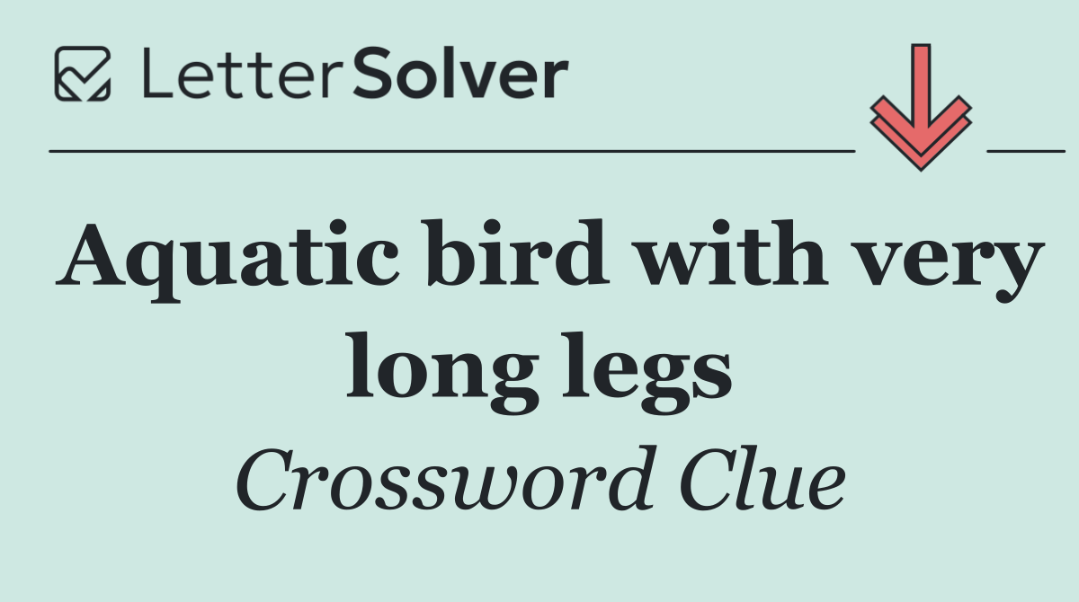 Aquatic bird with very long legs