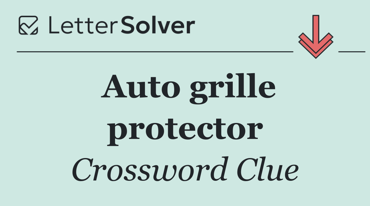 Auto grille protector