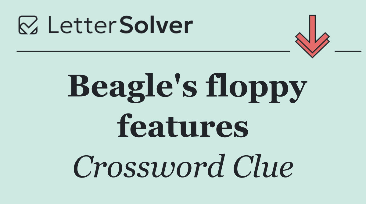 Beagle's floppy features