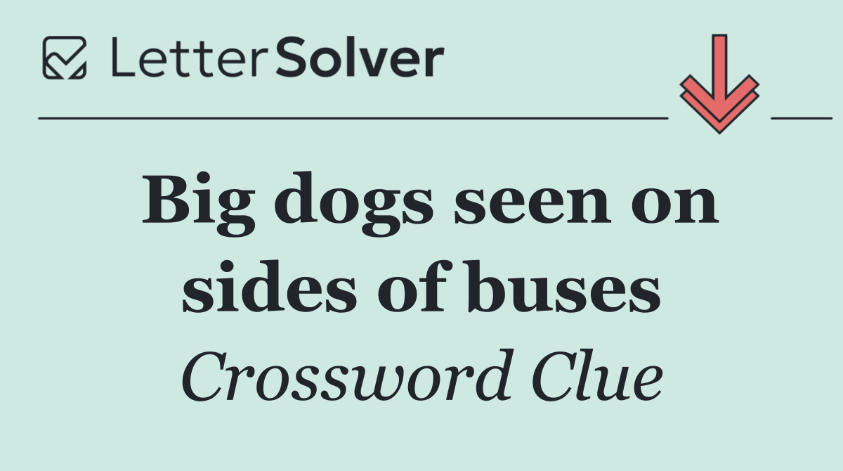 Big dogs seen on sides of buses