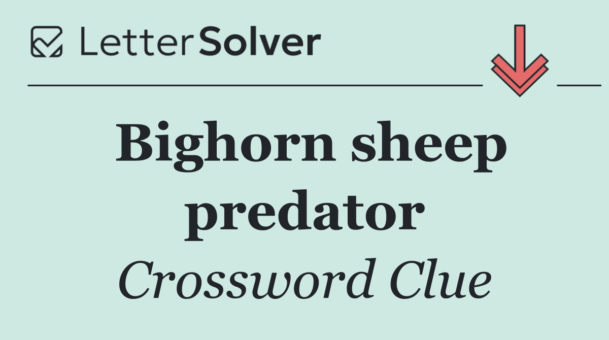 Bighorn sheep predator