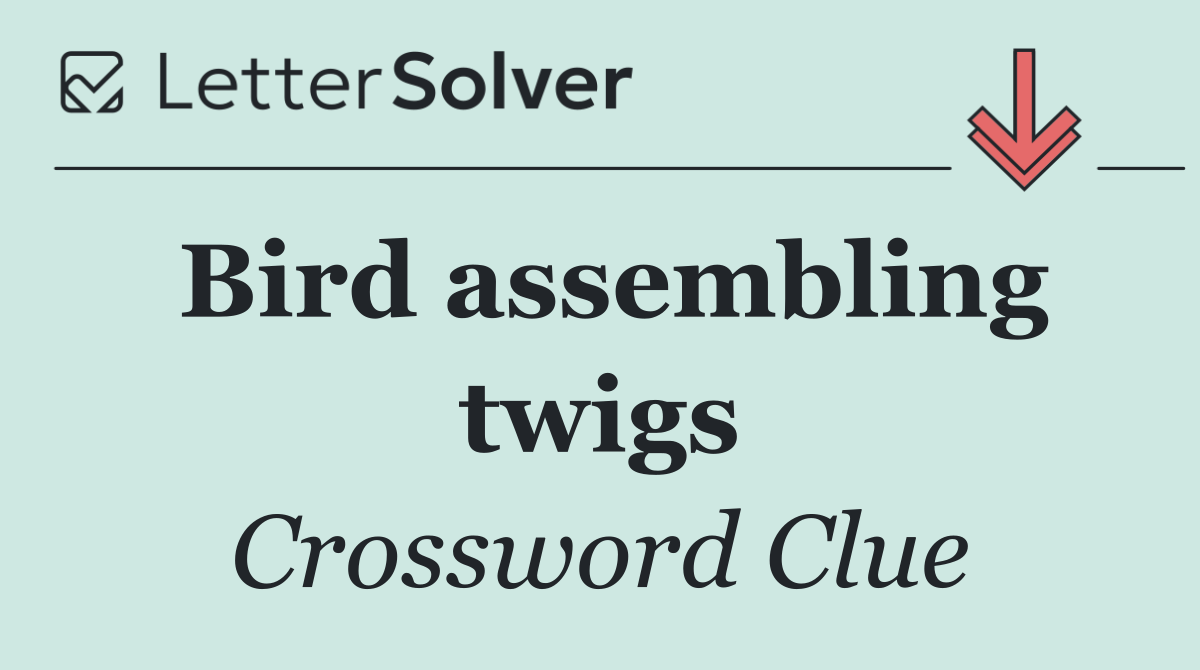 Bird assembling twigs