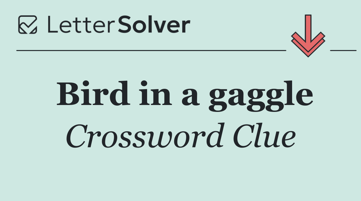 Bird in a gaggle