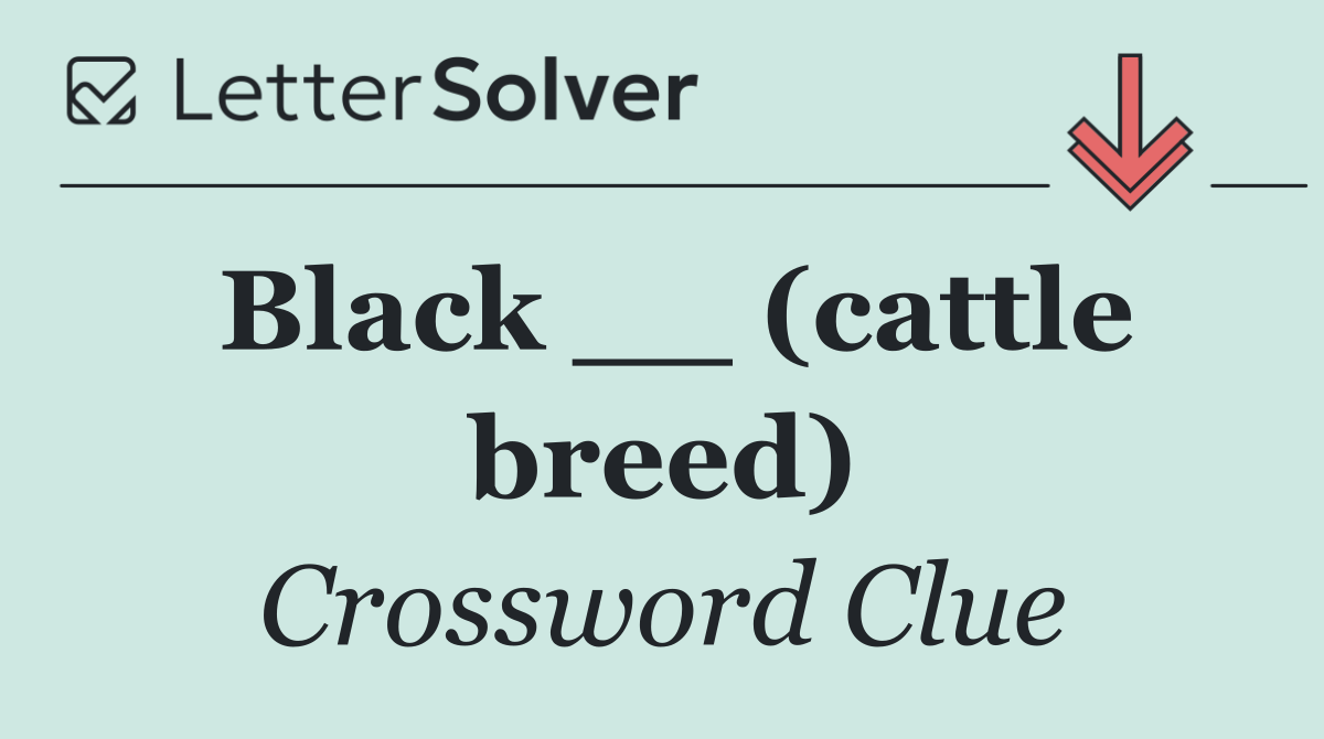 Black __ (cattle breed)