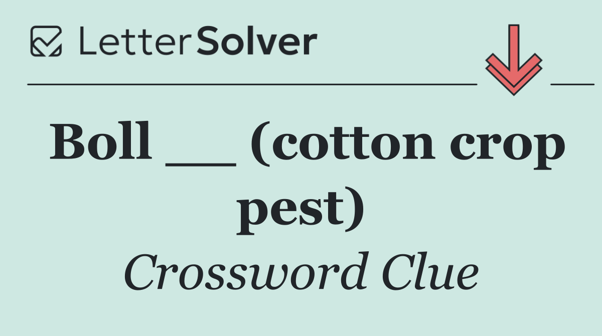 Boll __ (cotton crop pest)