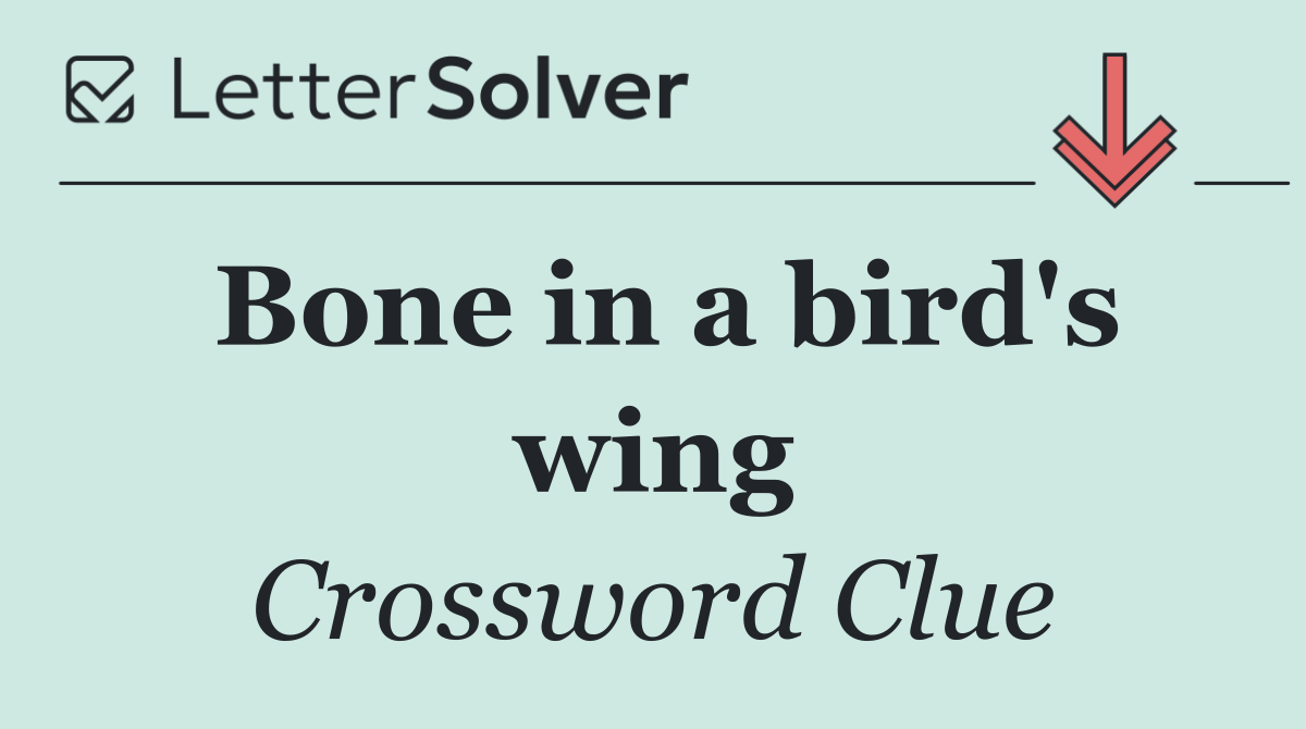 Bone in a bird's wing