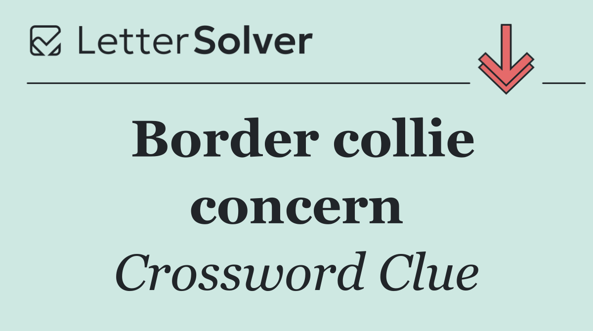 Border collie concern