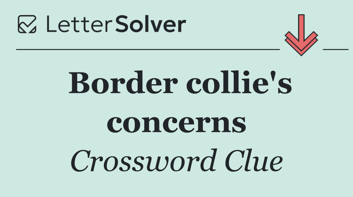 Border collie's concerns