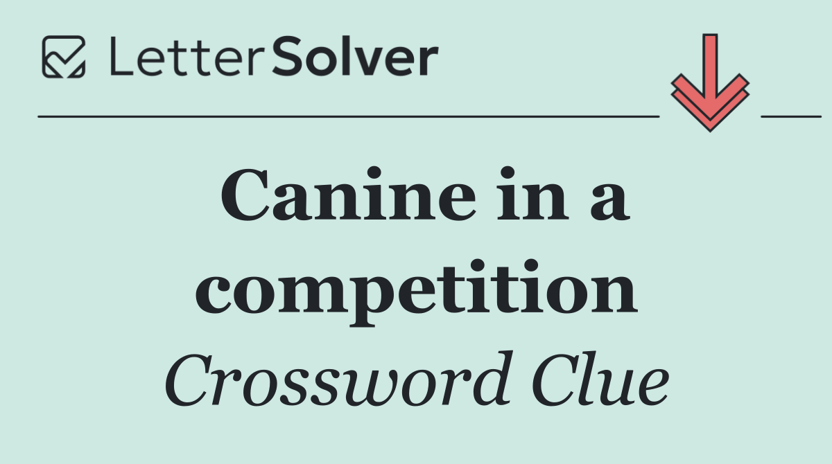 Canine in a competition