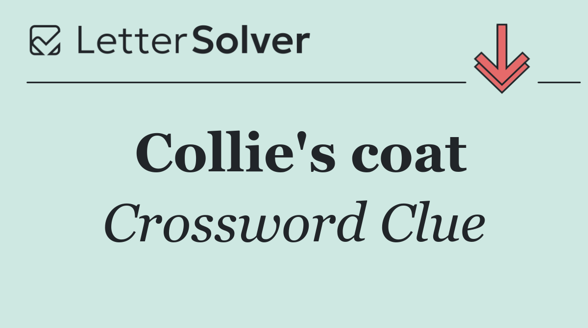 Collie's coat