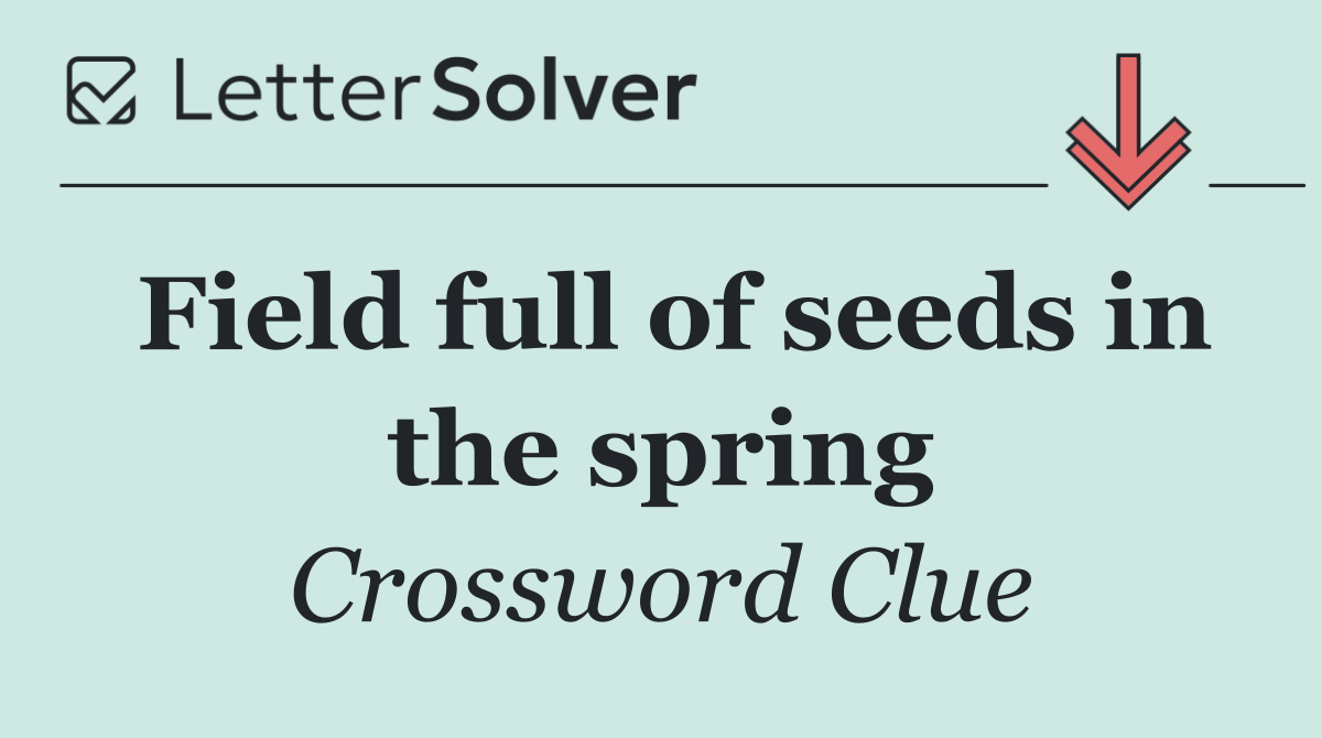 Field full of seeds in the spring