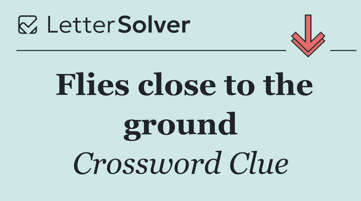 Flies close to the ground