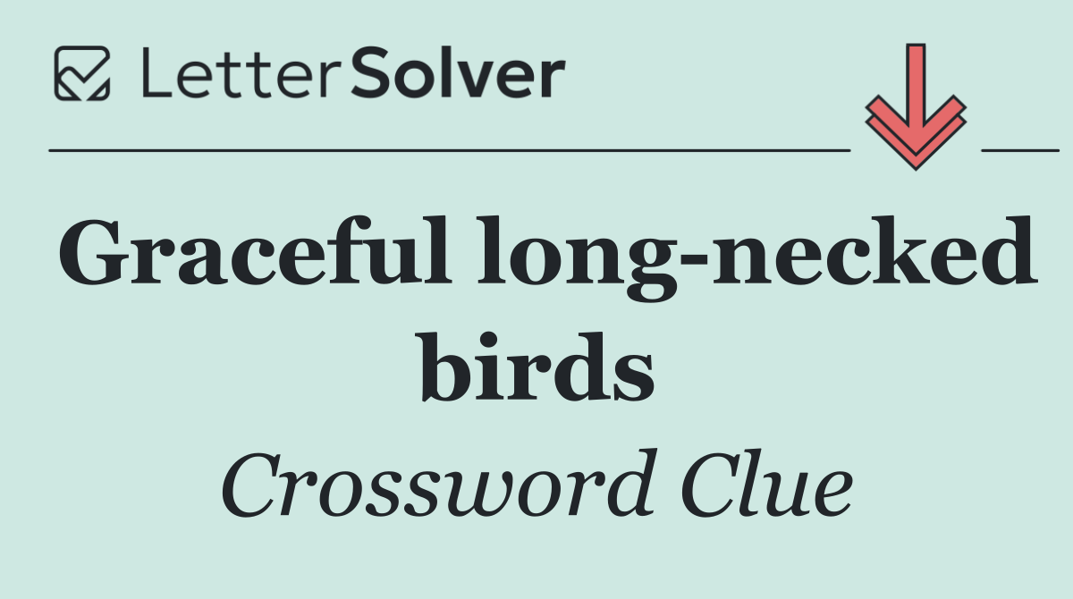 Graceful long necked birds