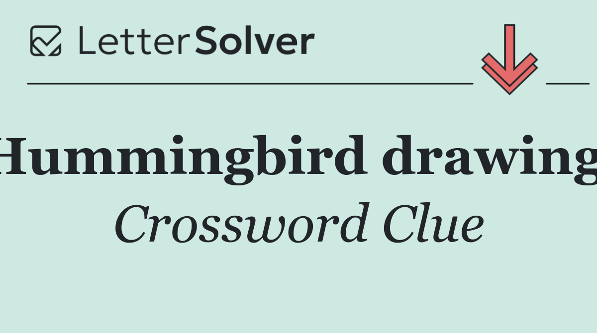 Hummingbird drawings