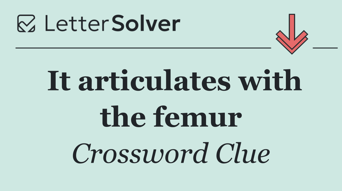 It articulates with the femur