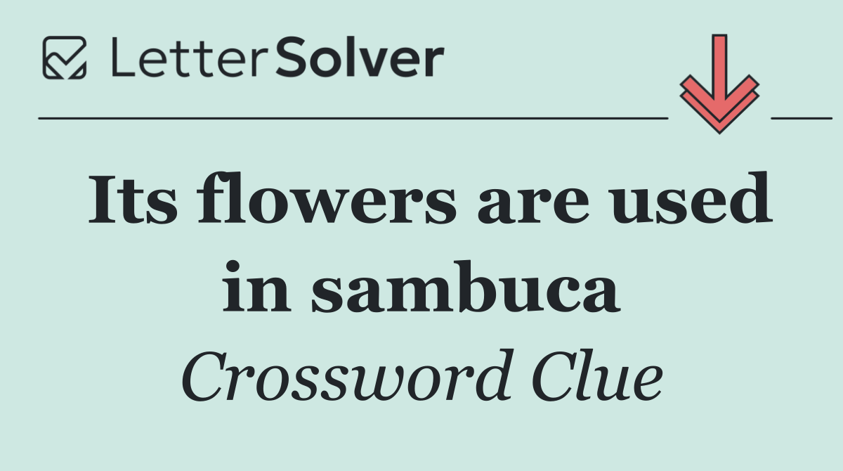 Its flowers are used in sambuca