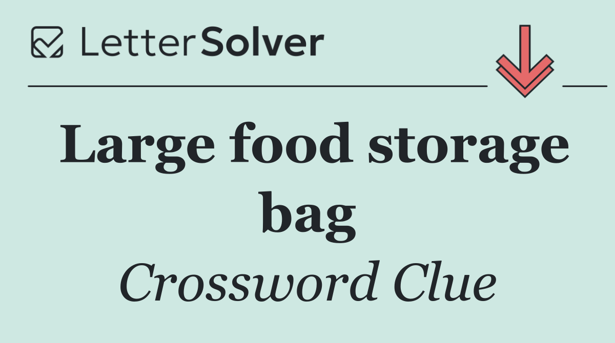 Large food storage bag
