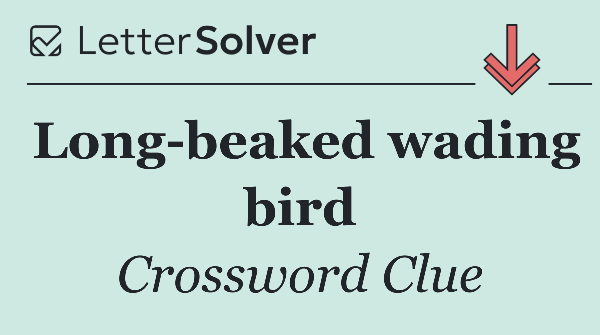Long beaked wading bird