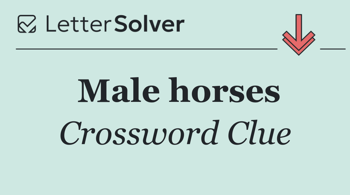 Male horses