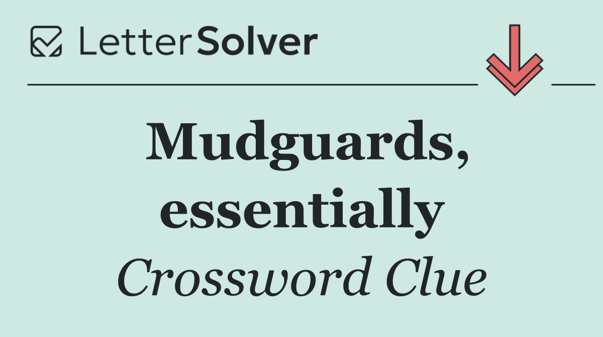 Mudguards, essentially