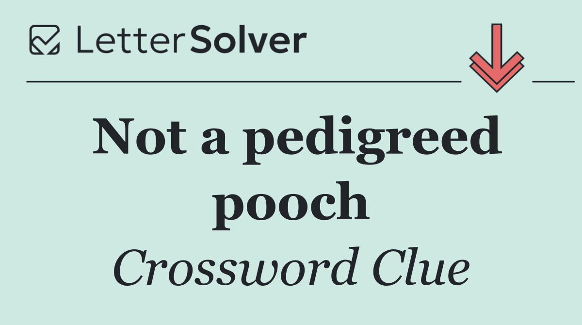 Not a pedigreed pooch