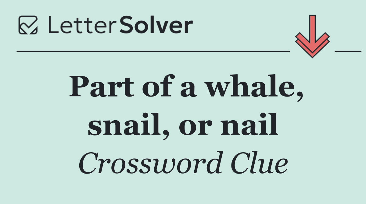 Part of a whale, snail, or nail